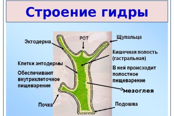 Kraken даркнет что это